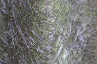 Stourton fibreglass roof work